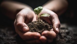 Obowiązek recyklingu opakowań